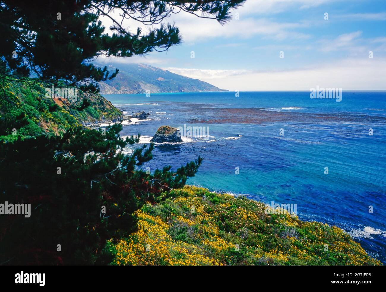 Big sur sur la Pacific Ocean Coast en Californie Banque D'Images