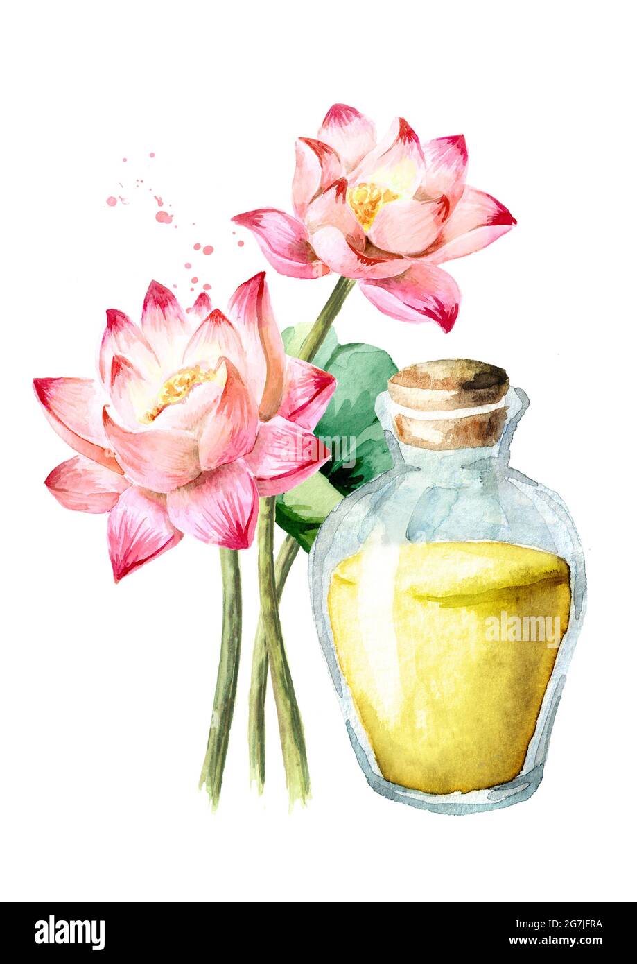 Fleur de Lotus rose et huile essentielle. Concept spa et aromathérapie.  Illustration aquarelle dessinée à la main isolée sur fond blanc Photo Stock  - Alamy