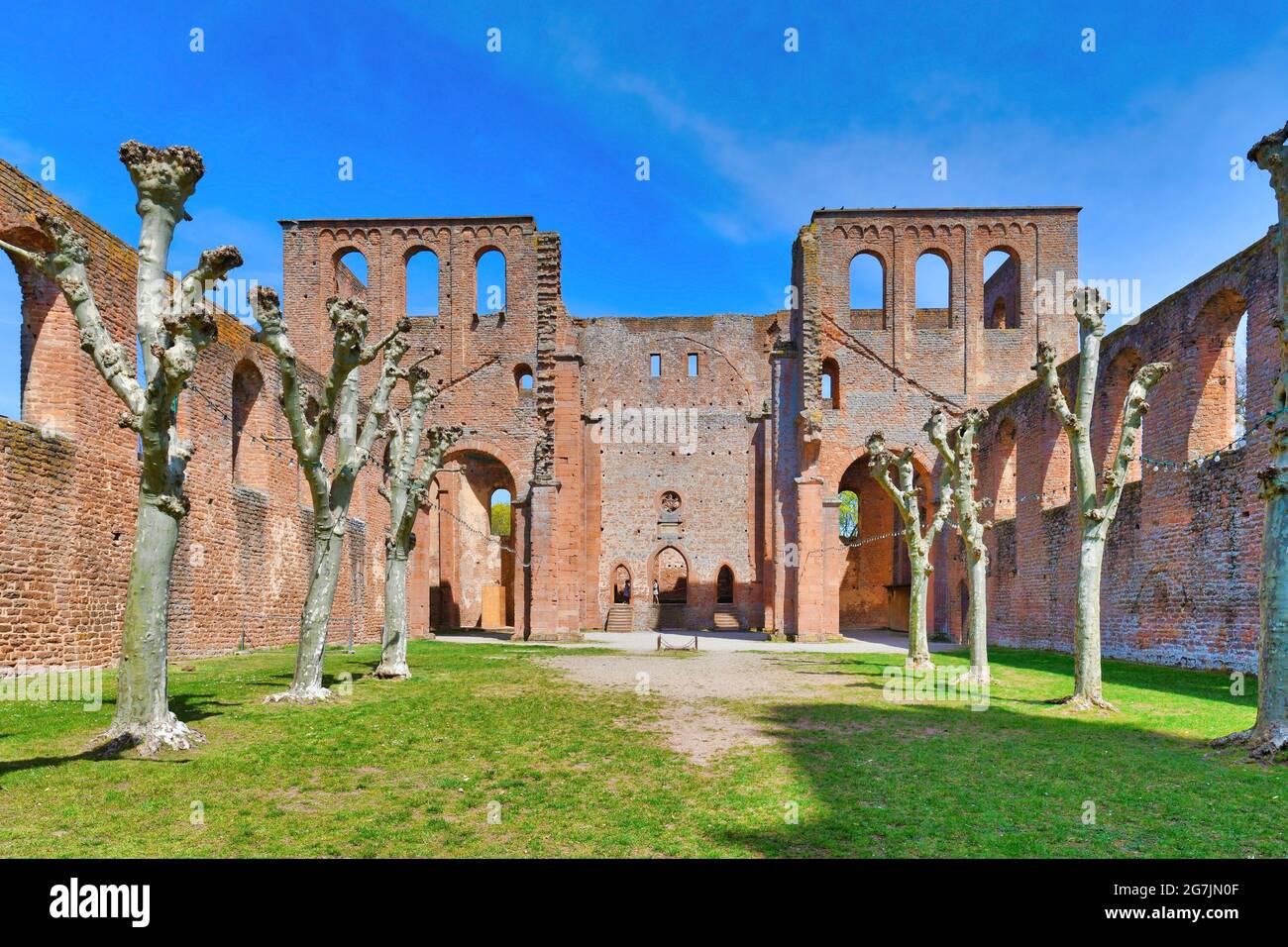 Bad Dürkheim, allemagne - Mai 2021 : ruine de l'abbaye de Limburg dans la forêt du Palatinat près de la ville de Bad Durkheim en Allemagne Banque D'Images