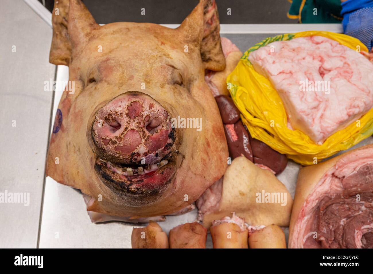 Tête et pattes d'un porc sur le comptoir d'une boucherie sur le marché d'un fermier, gros plan de la carcasse de porc bouchées. Banque D'Images