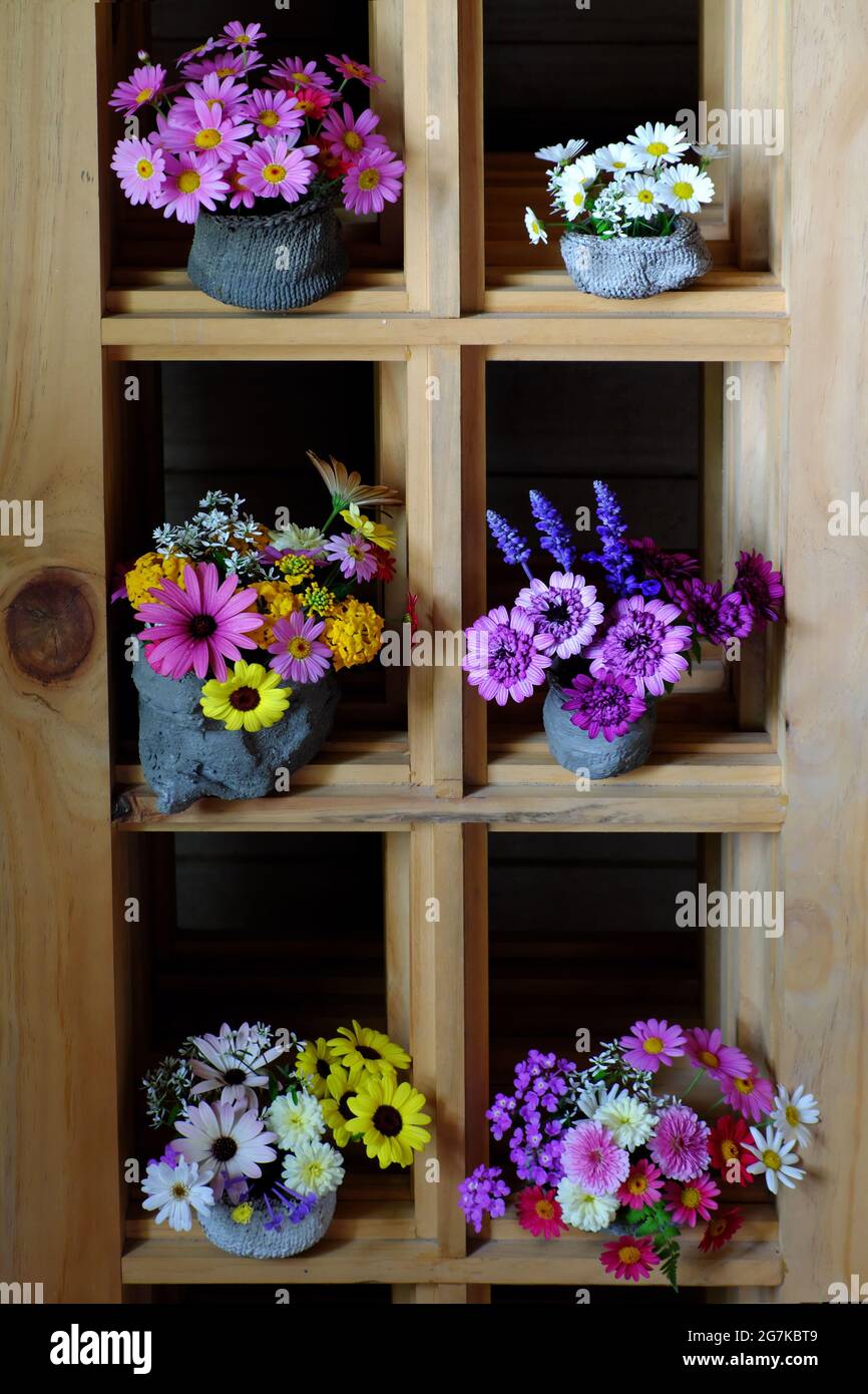 Groupe de pot de fleur coloré sur des étagères en bois pour la décoration de la maison, beaucoup de Marguerite si joli fleuri vibrant, romantique décoration d'espace au printemps Banque D'Images