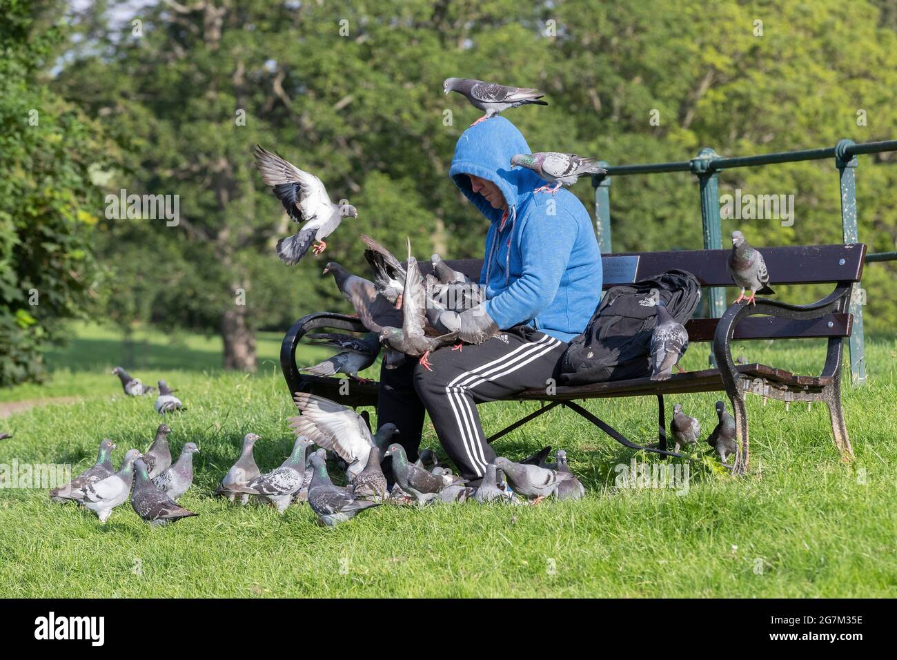 Northampton, Royaume-Uni. 15 juillet 2021. Gary Stone un lad local nourrissant les pigeons de report à Abington Park. Crédit : Keith J Smith./Alamy Live News Banque D'Images
