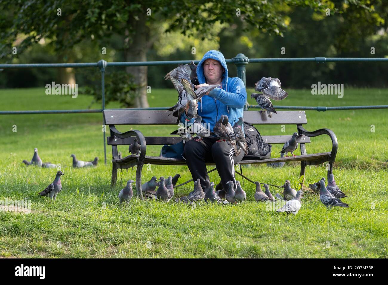 Northampton, Royaume-Uni. 15 juillet 2021. Gary Stone un lad local nourrissant les pigeons de report à Abington Park. Crédit : Keith J Smith./Alamy Live News Banque D'Images