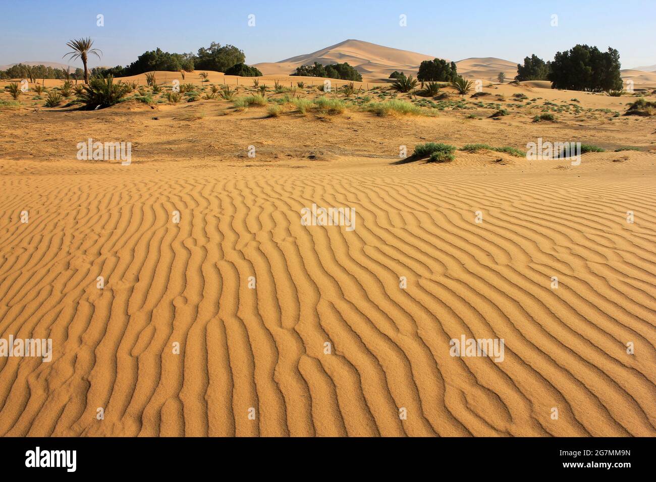 Ondules de sable avec Erg Chebbi Dunes à distance, Merzouga, Maroc Banque D'Images