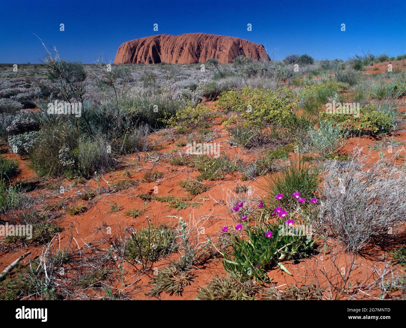 Australie. Territoire du Nord. Région d'Alice Springs. Uluru (Ayers Rock). Banque D'Images