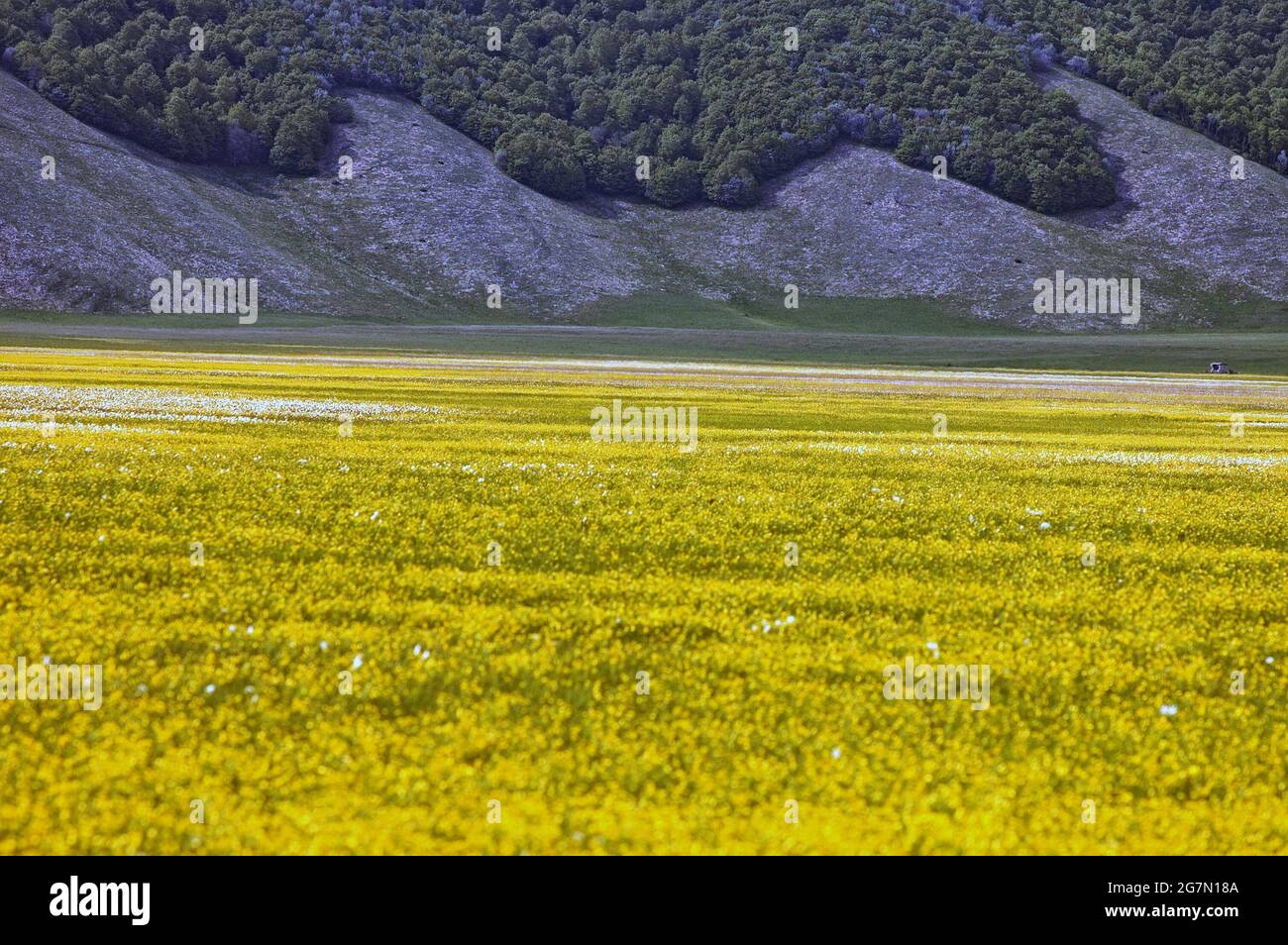 Castelluccio di Norcia, Ombrie Banque D'Images