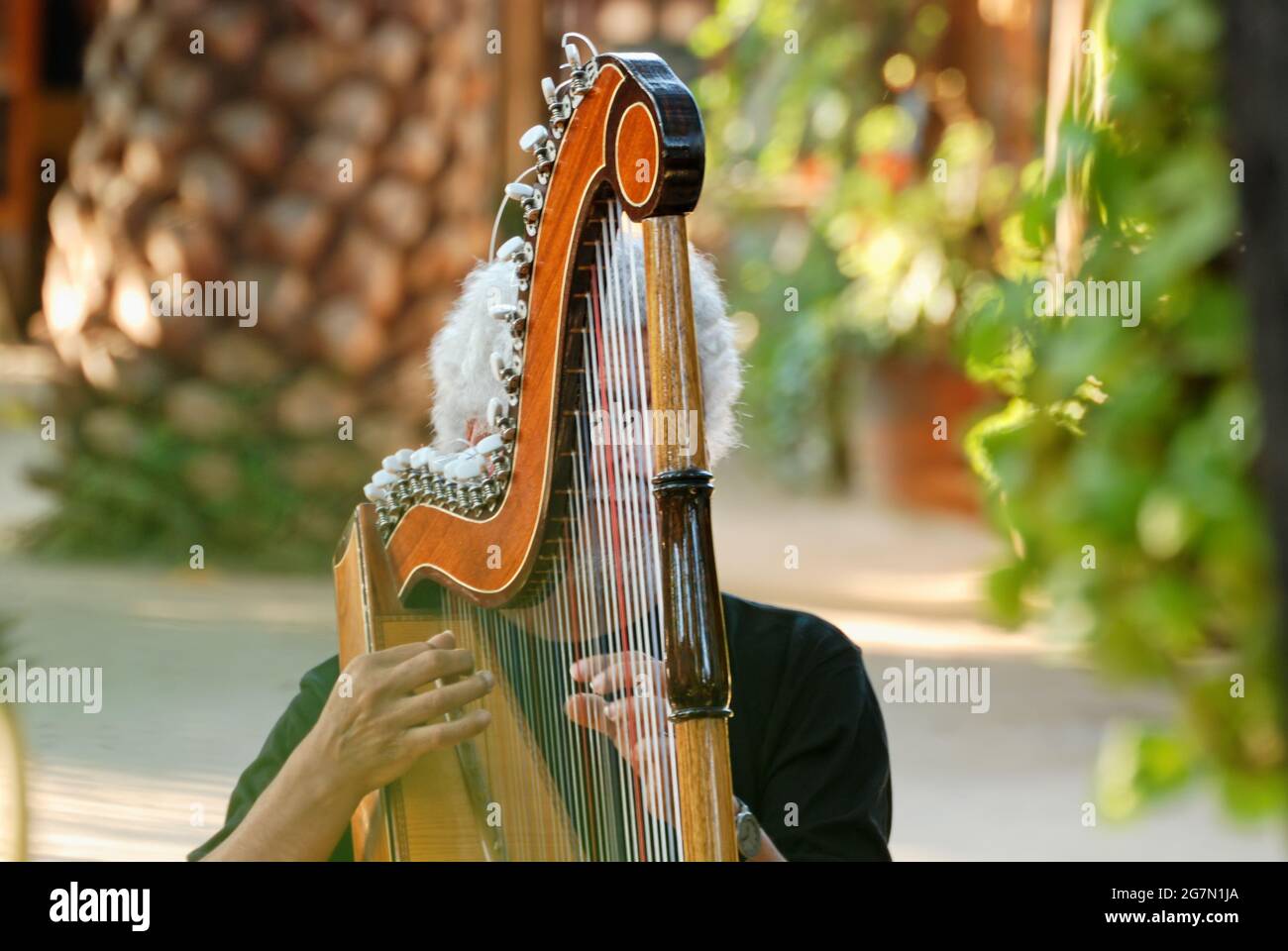 Gros plan d'un musicien jouant de la harpe en plein air au Chili. Mise au point sélective Banque D'Images