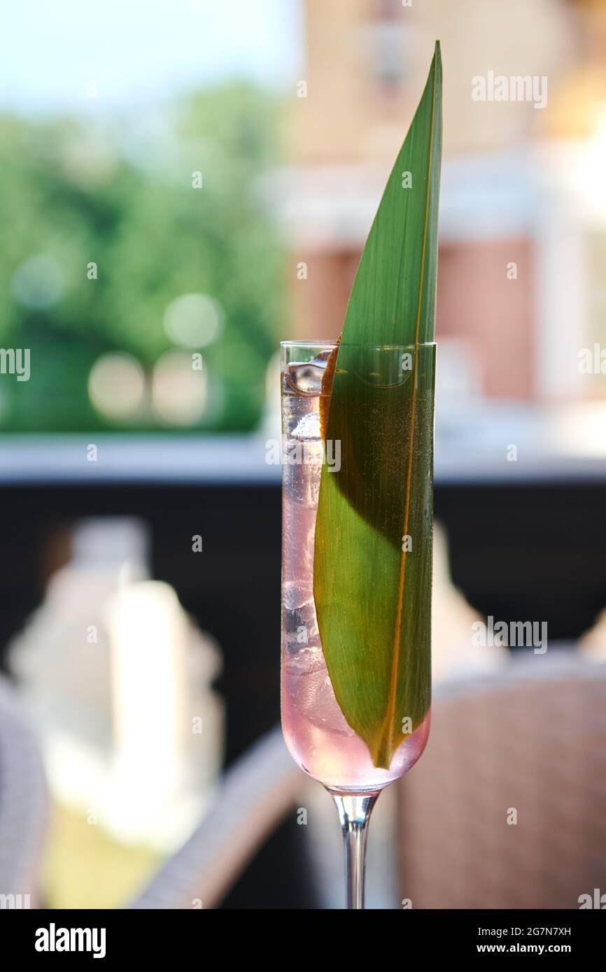 Cocktail de lavande dans un verre de vin décoré de feuilles de bambou. Champagne frais rose. Photo de gros plan verticale. Banque D'Images