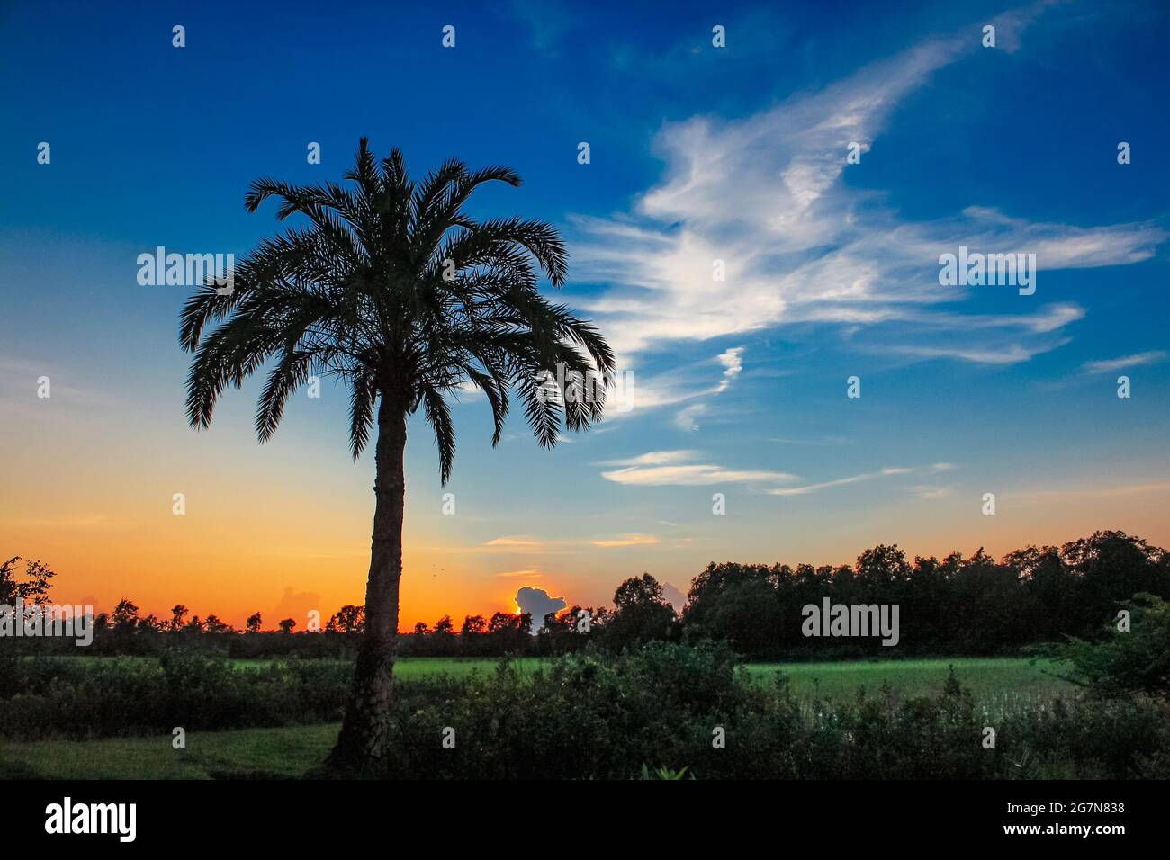 Beauté naturelle du Bangladesh, Banque D'Images