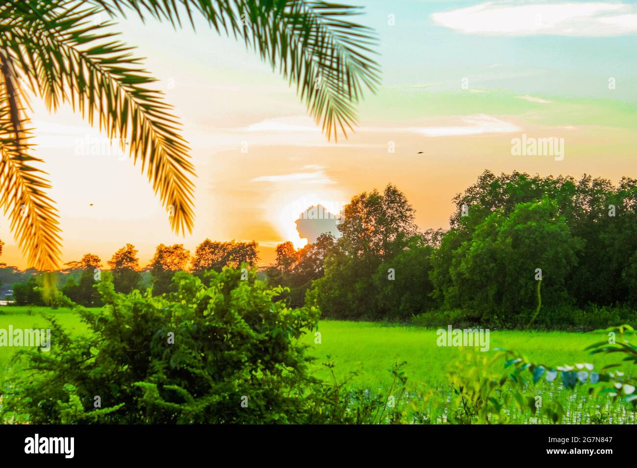 Beauté naturelle du Bangladesh, Banque D'Images