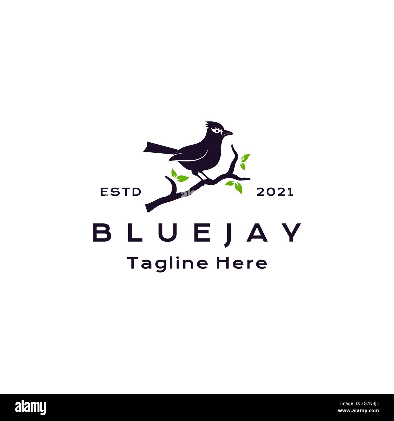 Illustration vectorielle de la conception du logo silhouette d'oiseau geai bleu Illustration de Vecteur