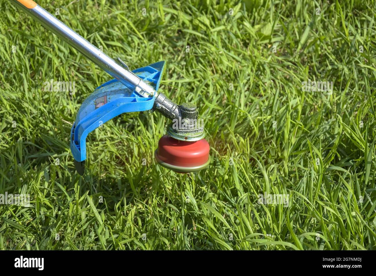 Processus de coupe de l'herbe verte avec le coupe-herbe dans le jardin. La tête rotative avec ligne de pêche rouge coupe l'herbe. Tondeuse à essence. Banque D'Images