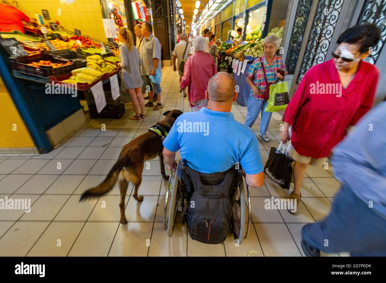 Faire du shopping dans un marché intérieur en fauteuil roulant Banque D'Images