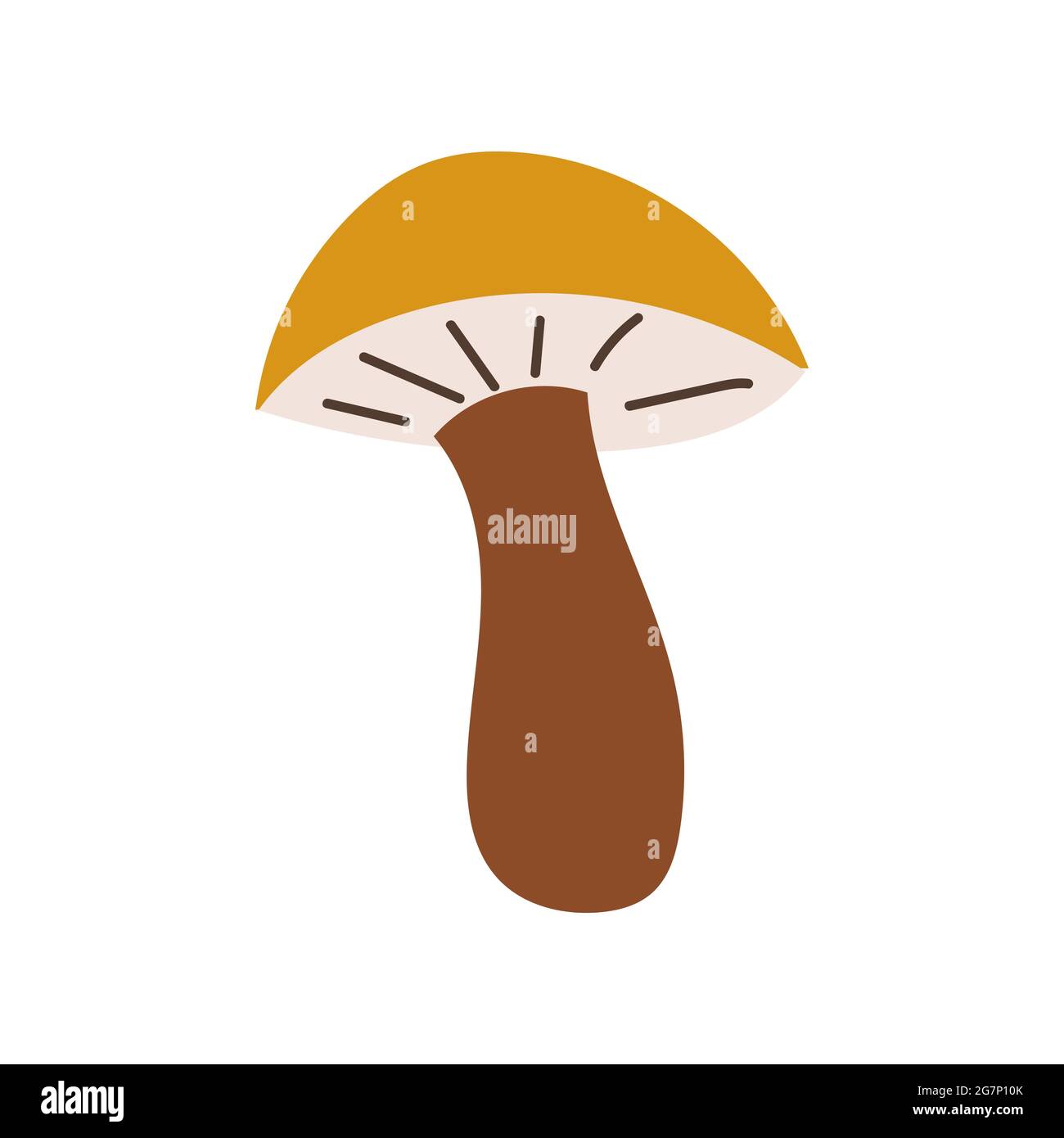 Illustration plate boletus de capuchon marron. Icône en forme de champignon Illustration de Vecteur