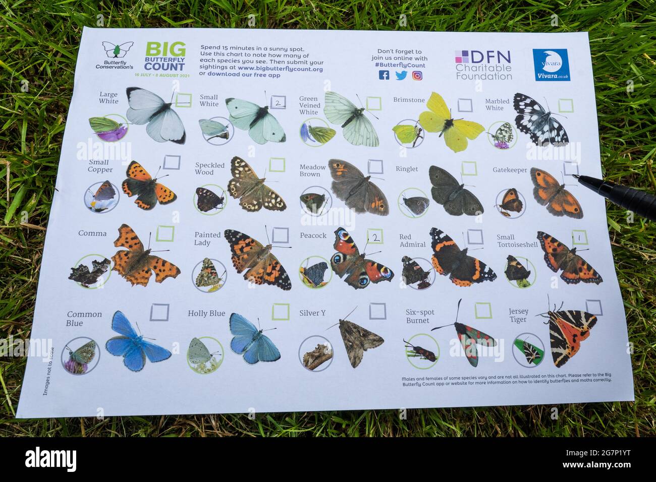 Graphique de comptage des grands papillons pour l'identification des papillons de jardin, juillet 2021, géré par Butterfly conservation, Royaume-Uni Banque D'Images
