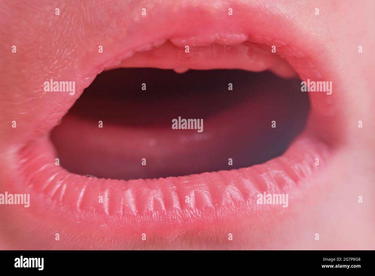 La Bouche Hurlant D Un Nouveau Ne Gros Plan Photo Macro D Une Bouche Ouverte Pleurant D Un Bebe Avec Des Gencives Sans Dents Photo Stock Alamy