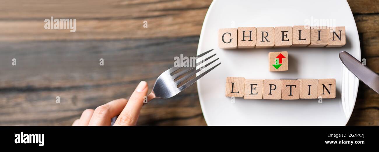 Ghréline et leptin Hunger Hormons. Alimentation et énergie Banque D'Images
