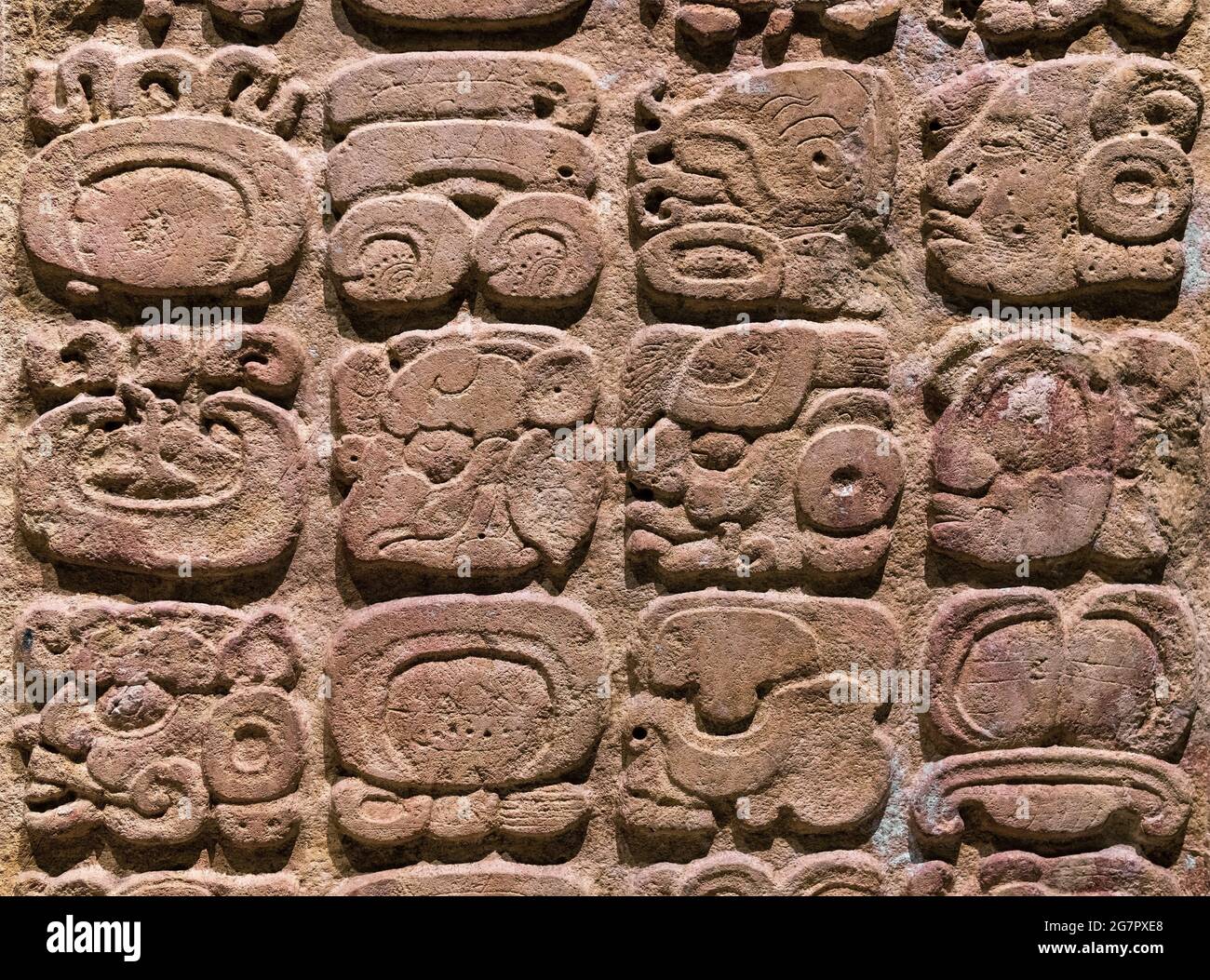 Mayan Alphabet.gros plan du système d'écriture de glyphe hiéroglyphe à Copan (Honduras), Tikal (Guatemala) et Chichen Itza, Palenque, Uxmal, Bonampak (Mexique) Banque D'Images