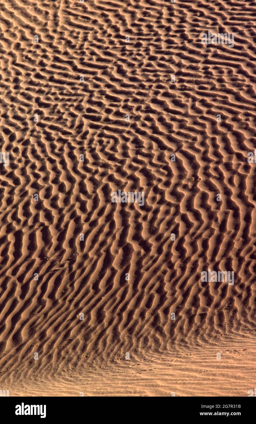 MOTIFS DANS LES DUNES DE SABLE DU DÉSERT DE SIMPSON, EN AUSTRALIE CENTRALE. Banque D'Images