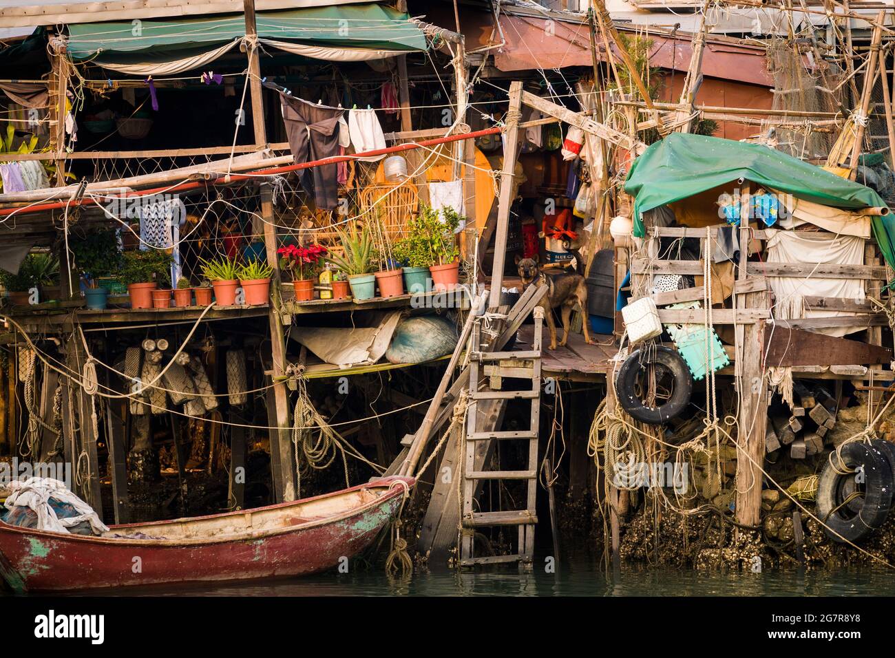 Un chien garde un 'pang uk', ou une maison de pilotis, avec un barque chinois traditionnel à Tai O, île Lantau, Hong Kong Banque D'Images