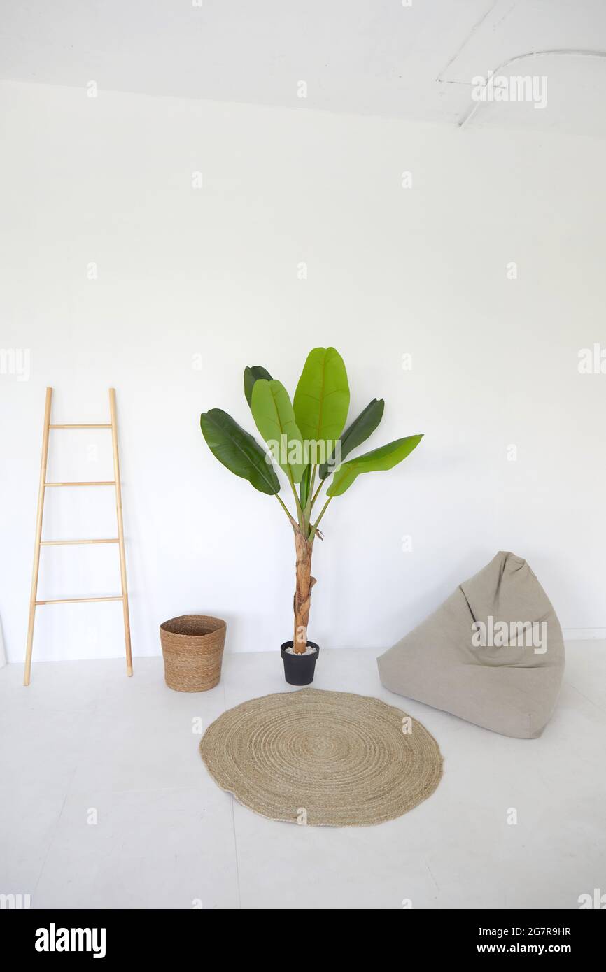 Plante en pot et échelle placée près d'un sac de haricots et tapis contre un mur blanc dans une salle de style minimaliste Banque D'Images