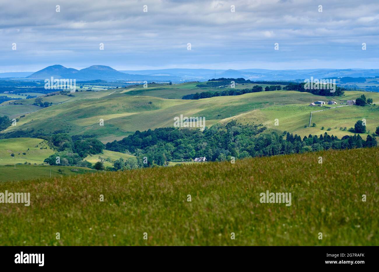 Vue sur les collines d'Eildon sur les terres agricoles à usage mixte depuis le sud de Hawick, aux frontières écossaises. Banque D'Images