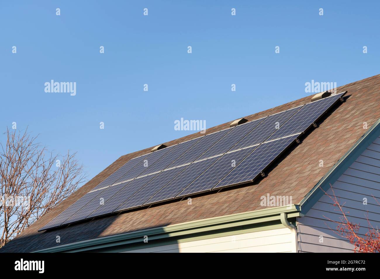 Des panneaux solaires sur le toit d'un asphalte se mêlent à la vue de branches sans feuilles et d'un ciel clair Banque D'Images