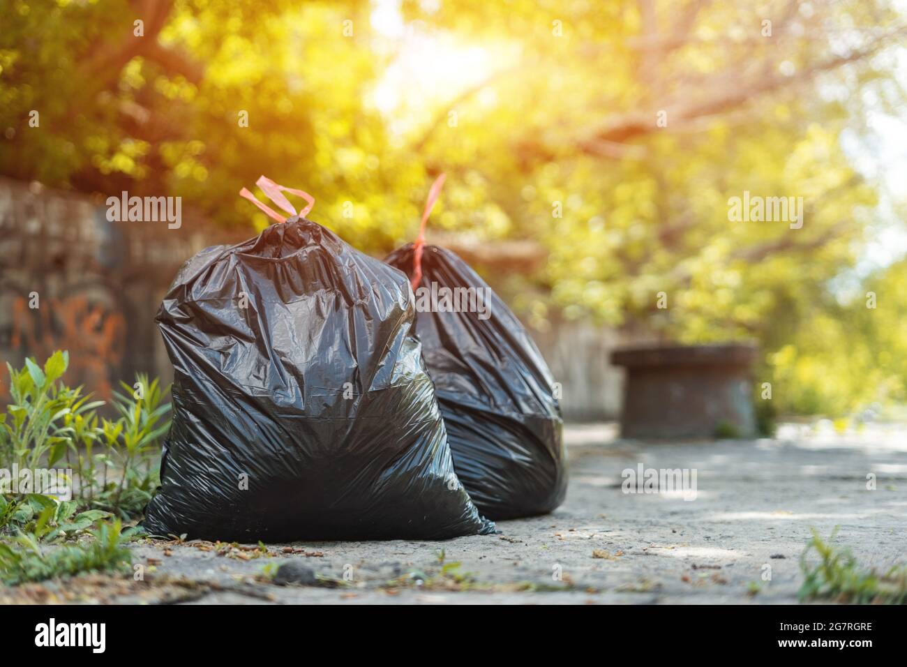 plein de sacs à ordures noirs avec déchets dans le parc de la ville à l'extérieur après nettoyage Banque D'Images