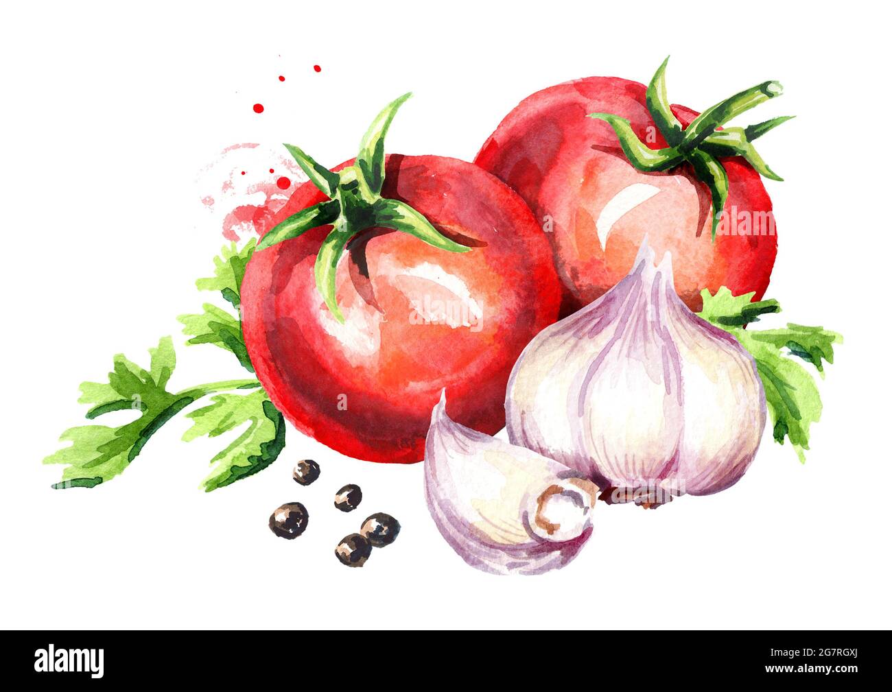 Rastériser les tomates avec de l'ail et des grains de poivre. Aquarelle illustration dessinée à la main isolée sur fond blanc Banque D'Images