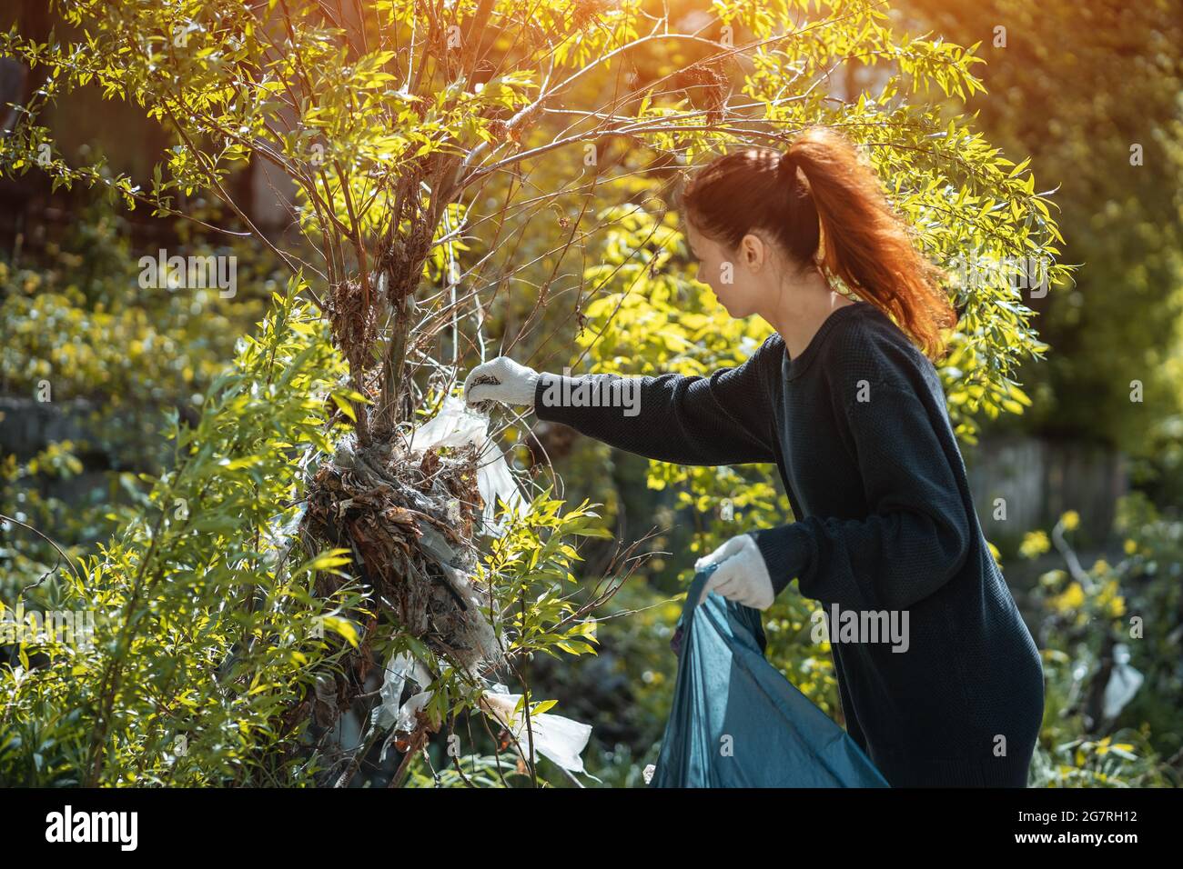 une femme volontaire nettoie le parc et l'arbre de la litière en plastique avec sac poubelle Banque D'Images