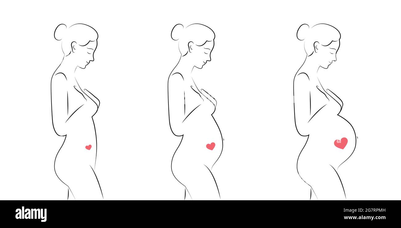 femme enceinte en attente de l'ensemble de trimestre de bébé Illustration de Vecteur