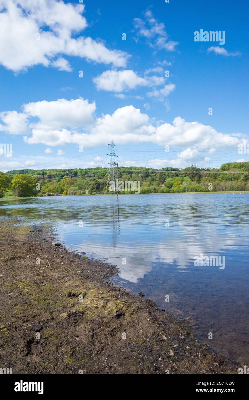 Newburn Royaume-Uni: 24 mai 2021: Terres agricoles inondées au récif de Throckley (Reigh), dans le nord de l'Angleterre. Terrain inondé de pylônes électriques Banque D'Images