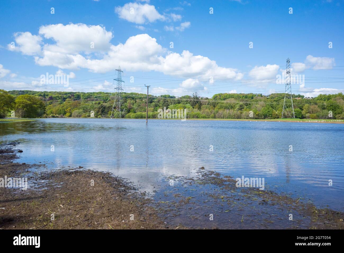 Newburn Royaume-Uni: 24 mai 2021: Terres agricoles inondées au récif de Throckley (Reigh), dans le nord de l'Angleterre. Terrain inondé de pylônes électriques Banque D'Images