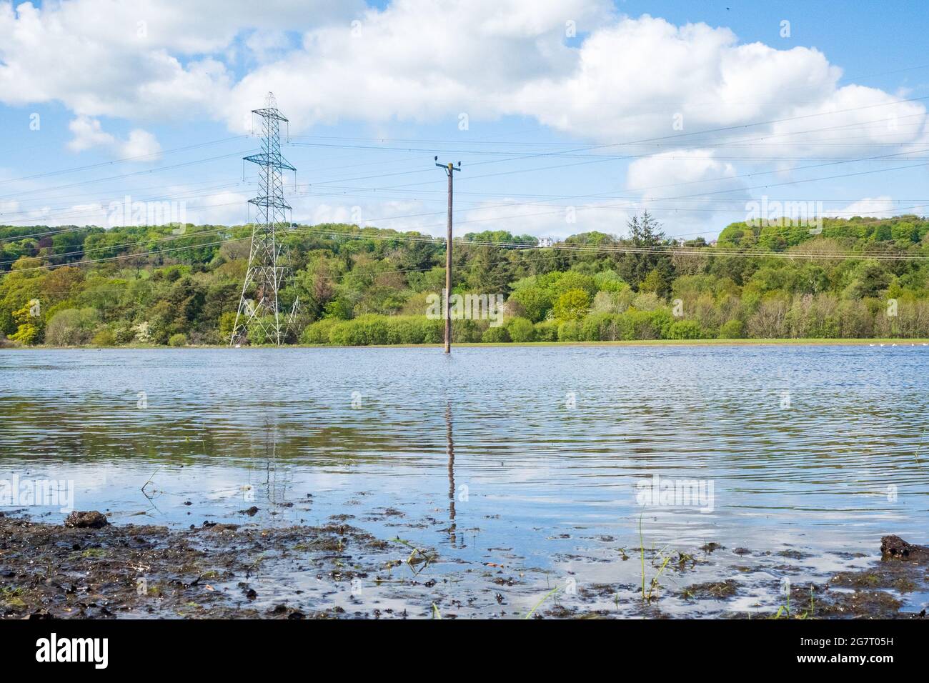 Newburn Royaume-Uni: 24 mai 2021: Terres agricoles inondées au récif de Throckley (Reigh), dans le nord de l'Angleterre. Terrain inondé de pylônes électriques Banque D'Images