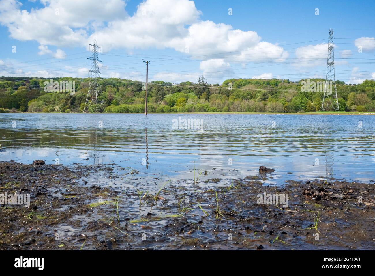Newburn Royaume-Uni: 24 mai 2021: Terres agricoles inondées au récif de Throckley (Reigh), dans le nord de l'Angleterre. Terrain inondé de pylônes électriques Banque D'Images