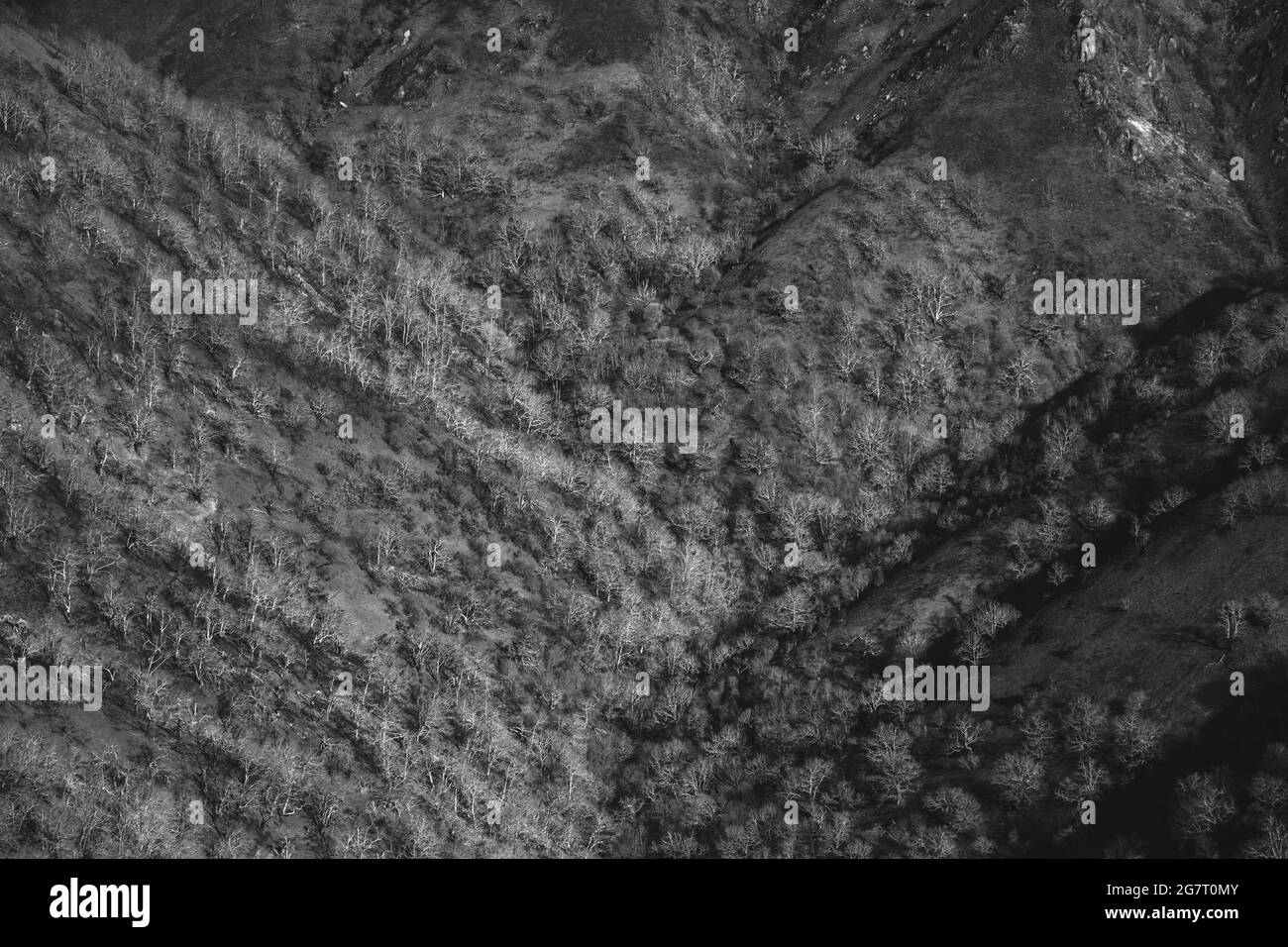 Les montagnes basques après un feu sauvage. Forêt brûlée au 2021 février. Banque D'Images