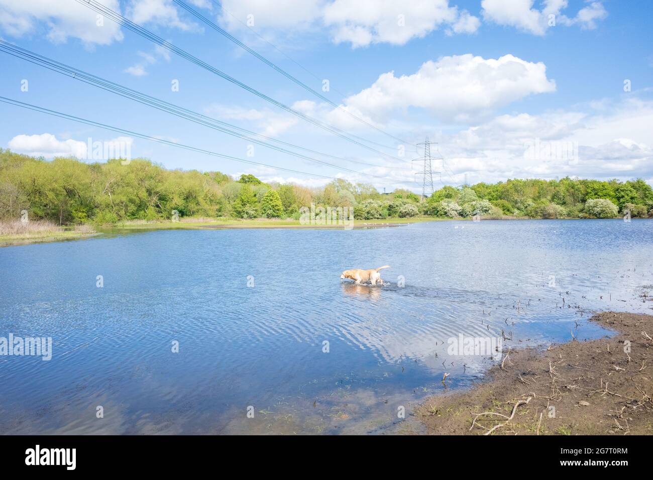Newburn Royaume-Uni: 24 mai 2021: Terres agricoles inondées au récif de Throckley (Reigh), dans le nord de l'Angleterre. Terrain inondé de pylônes électriques Banque D'Images