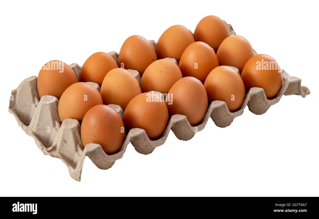 Œuf en carton isolé sur fond blanc. Œufs bruns biologiques. Boîtes à œufs Banque D'Images