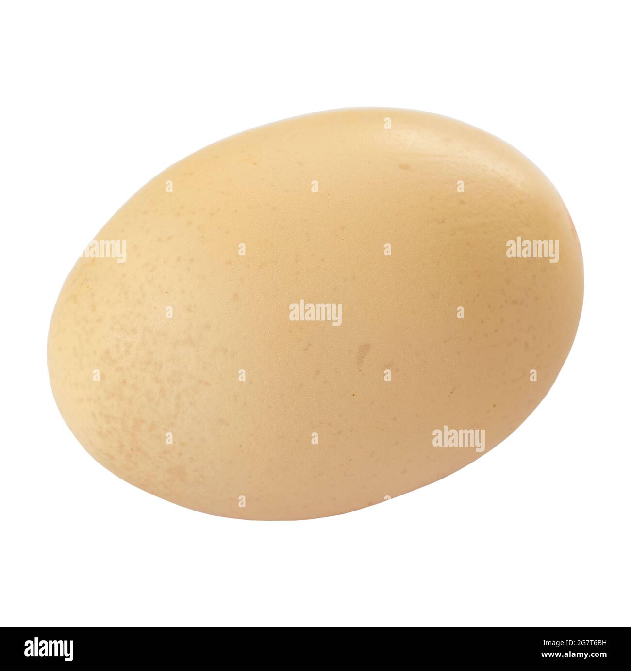 Egg isolé sur fond blanc Banque D'Images