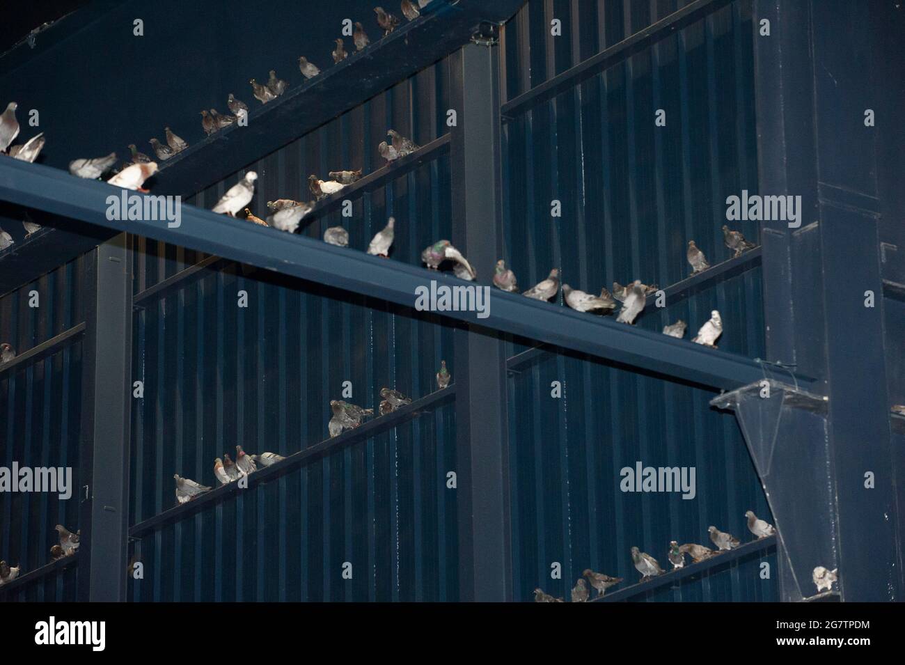 Maurizio Cattelan à Hangar Bicocca à Milan Banque D'Images