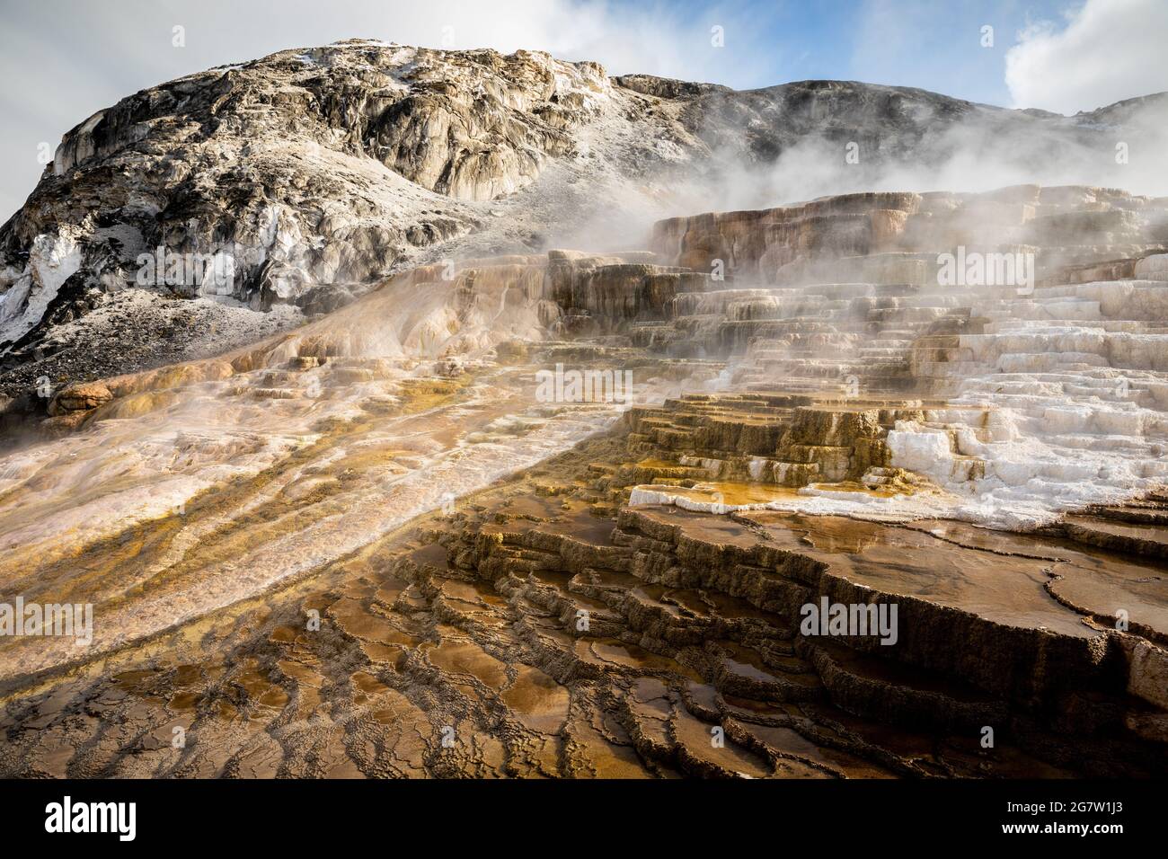 Les terrasses de Mammoth Hot Spring faites par le carbonate de calcium couvert par la fumée d'eau chaude, le Parc National de Yellowstone, Wyoming, USA. Banque D'Images