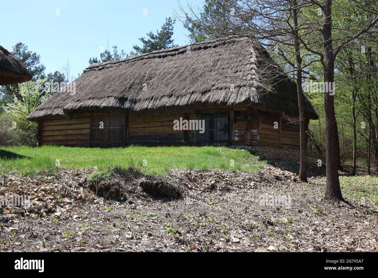 Ancienne grange de campagne, musée en plein air à Tokarnia, Tokarnia, swietokrzyskie, Pologne, architecture rurale, ancienne architecture, Banque D'Images