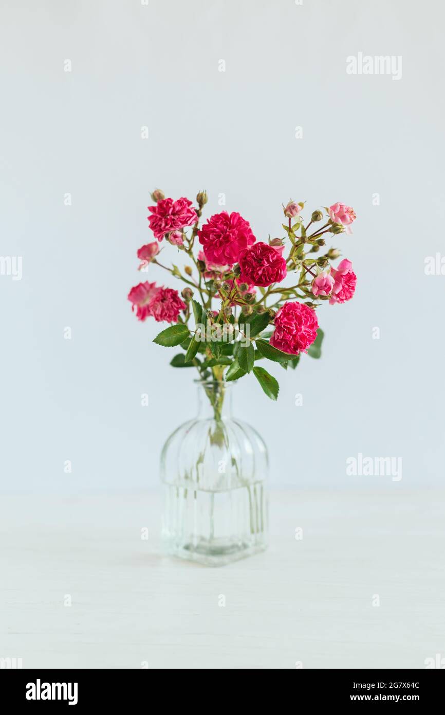 Bouquet romantique de roses roses dans un vase en verre sur fond blanc. Placer pour le texte. Banque D'Images