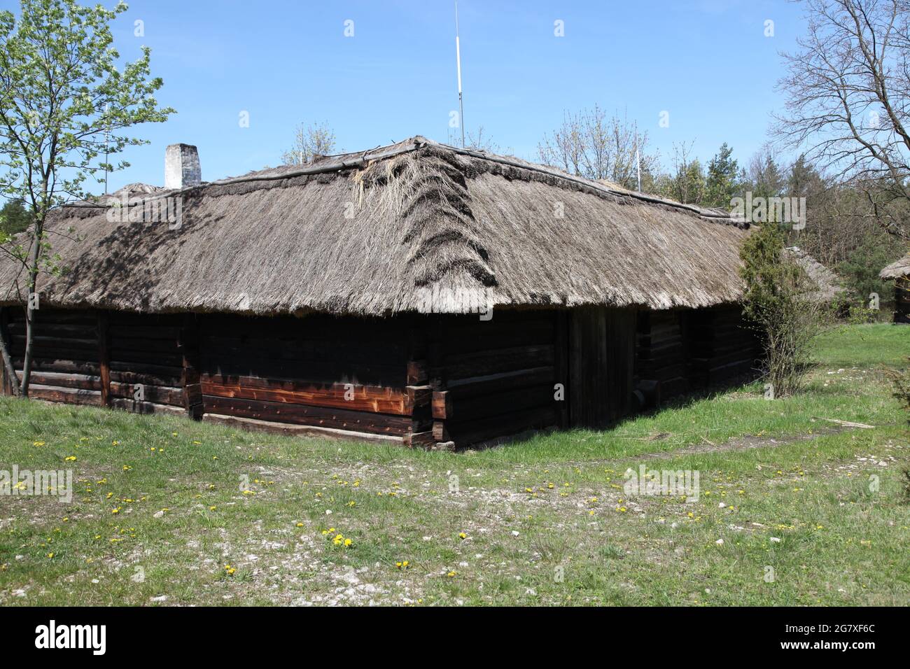 Ancienne grange de campagne, musée en plein air à Tokarnia, Tokarnia, swietokrzyskie, Pologne, architecture rurale, ancienne architecture, Banque D'Images