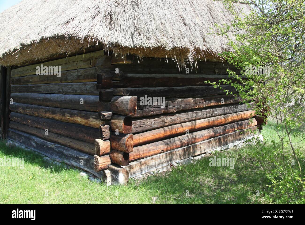 Ancienne grange de campagne, musée en plein air à Tokarnia, Tokarnia, swietokrzyskie, Pologne, architecture rurale, ancienne architecture, Banque D'Images