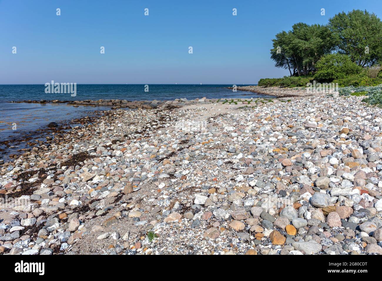 Côte de la mer Baltique à Bülk, en Allemagne, un jour d'été Banque D'Images