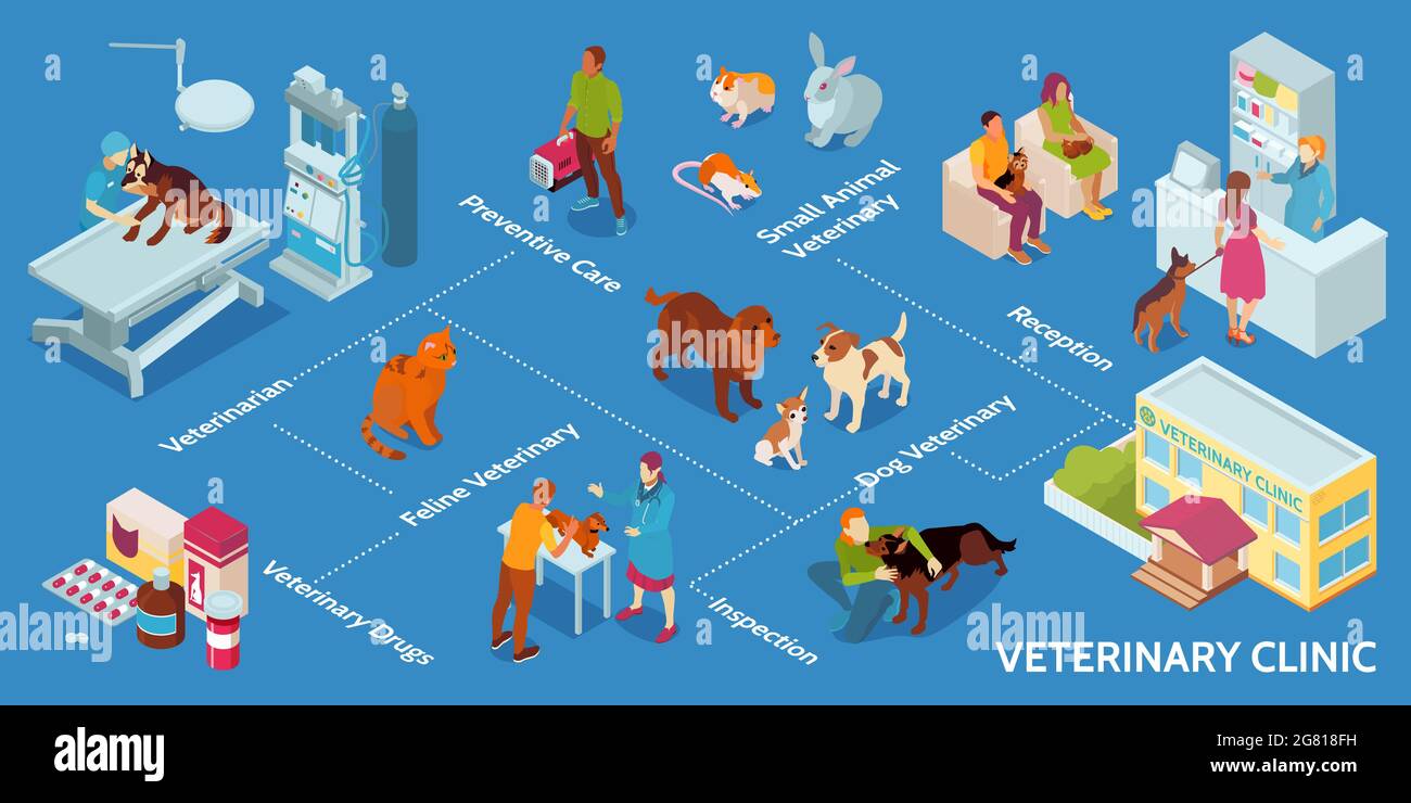Infographie vétérinaire isométrique avec soins préventifs petit animal réception vétérinaire de clinique chien vétérinaire et autres descriptions vecteur Illustration de Vecteur