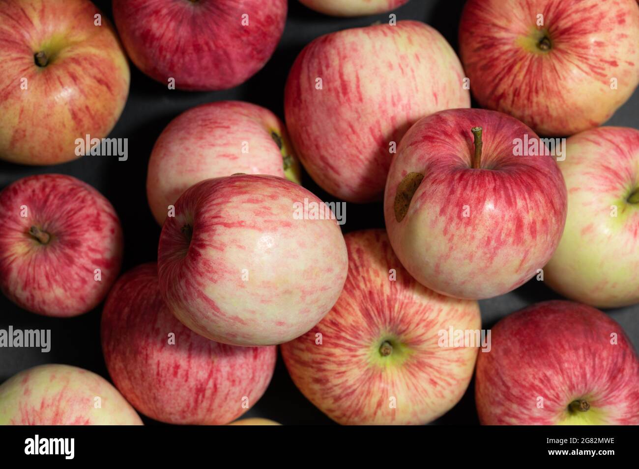 Pommes gros plan. Pommes à rayures rouges. Fruits biologiques. Vue de dessus. Récolte d'automne. Banque D'Images