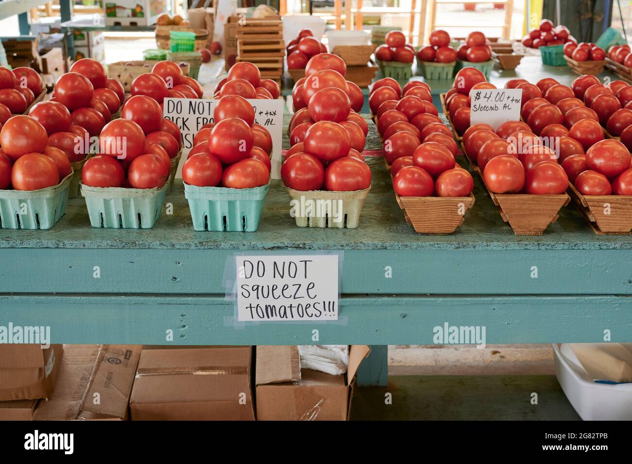 Cultivez des tomates fraîches de beefsteak en démonstration pour les vendre sur un marché agricole rural de l'Alabama ou sur le marché de bord de route à Montgomery Alabama, États-Unis. Banque D'Images