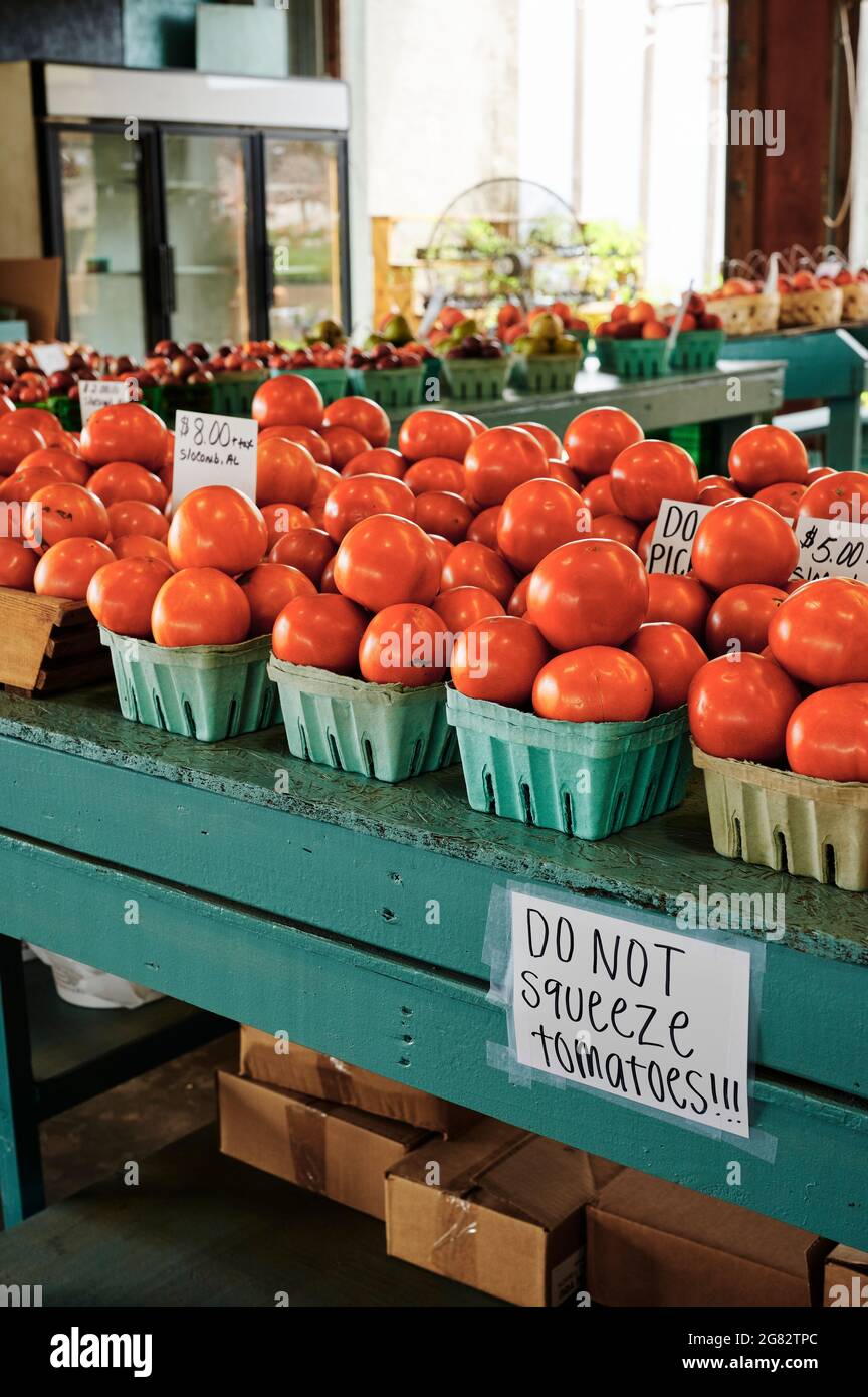 Cultivez des tomates fraîches de beefsteak en démonstration pour les vendre sur un marché agricole rural de l'Alabama ou sur le marché de bord de route à Montgomery Alabama, États-Unis. Banque D'Images